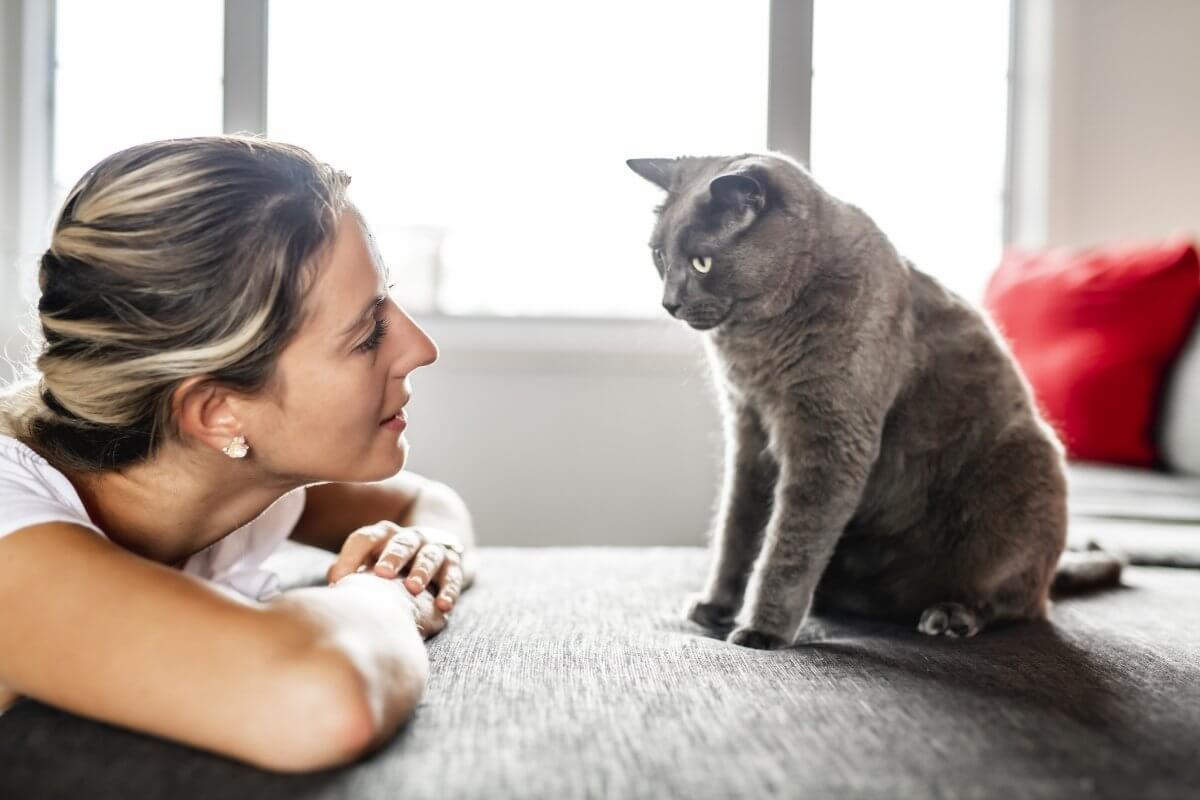 Votre animal vous comprend-il vraiment ? Ce qu’il perçoit au-delà des mots