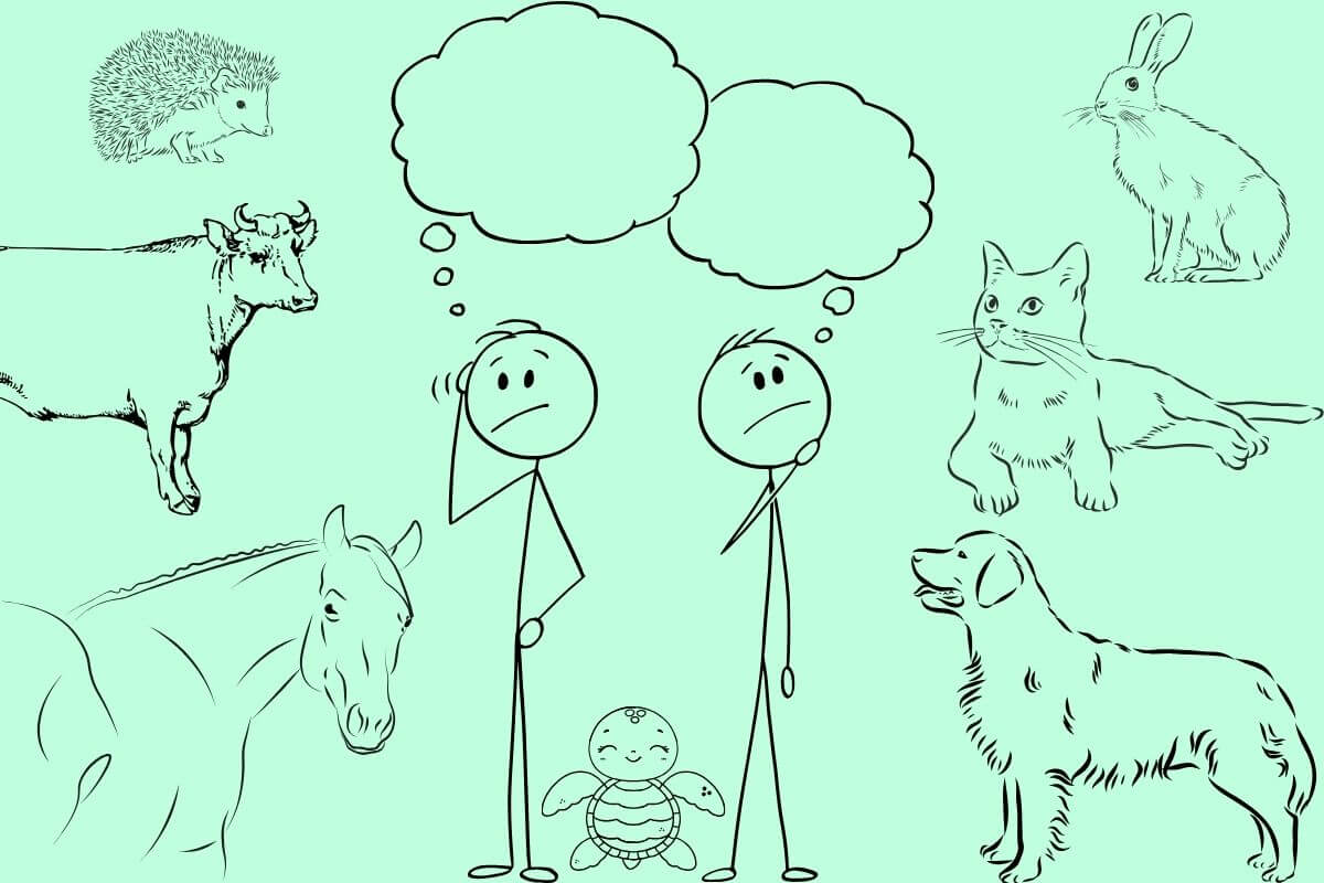 Communication animale : comment éviter la projection ?