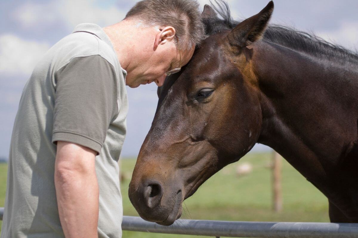 Hommes et communication animale : une question de sensibilité, pas de genre