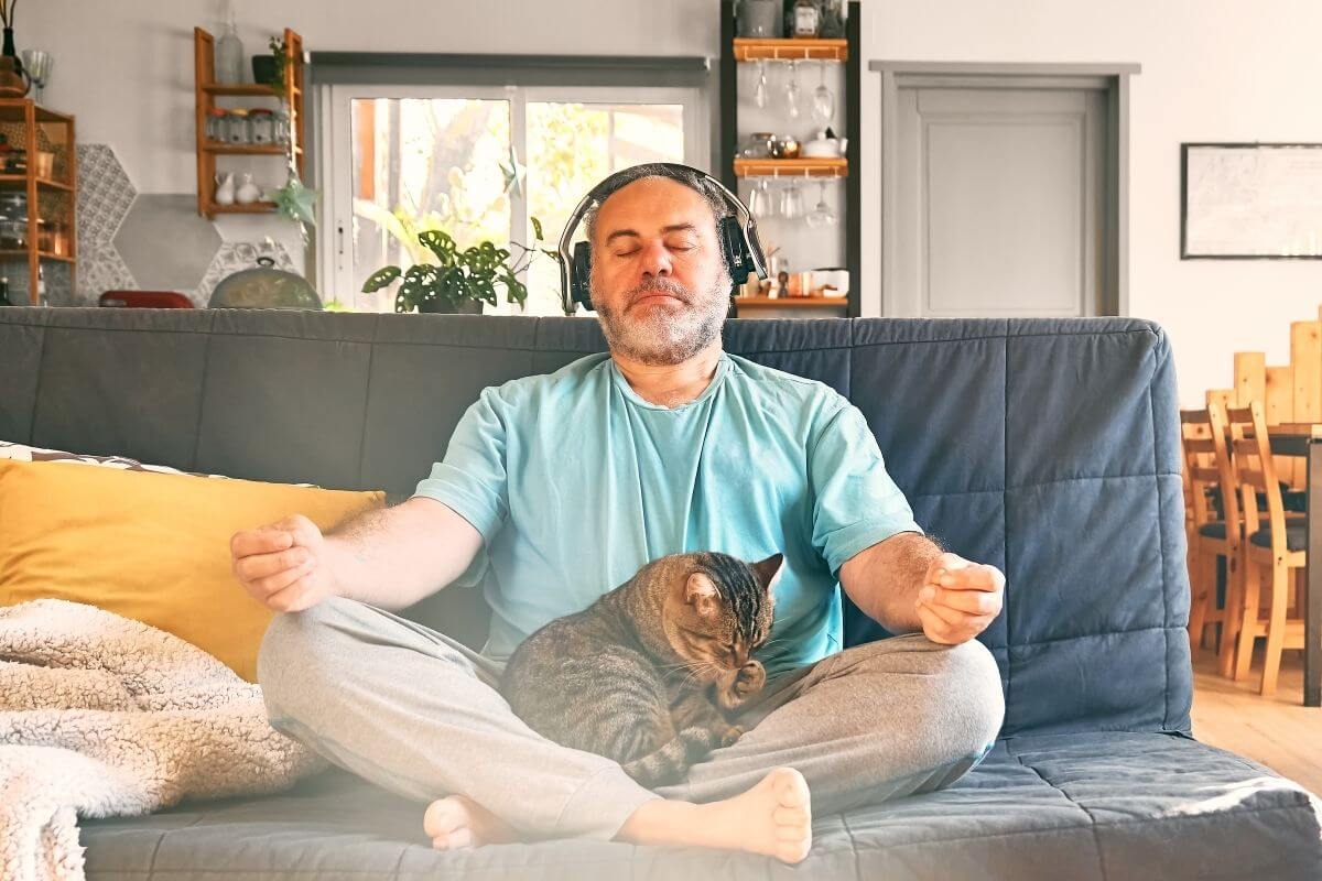 Faut-il nécessairement méditer pour communiquer avec les animaux ?